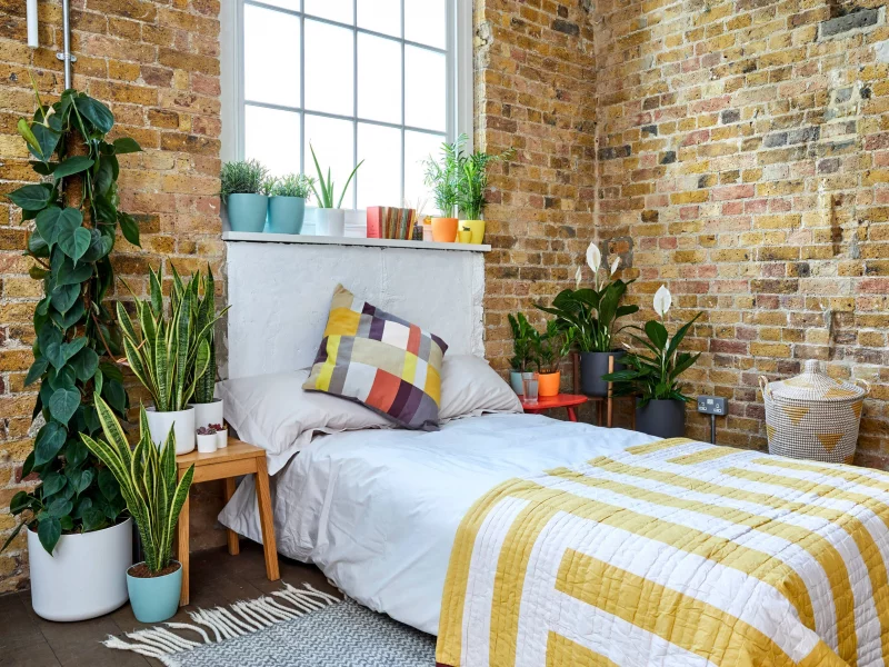 چیدمان گل در اتاق