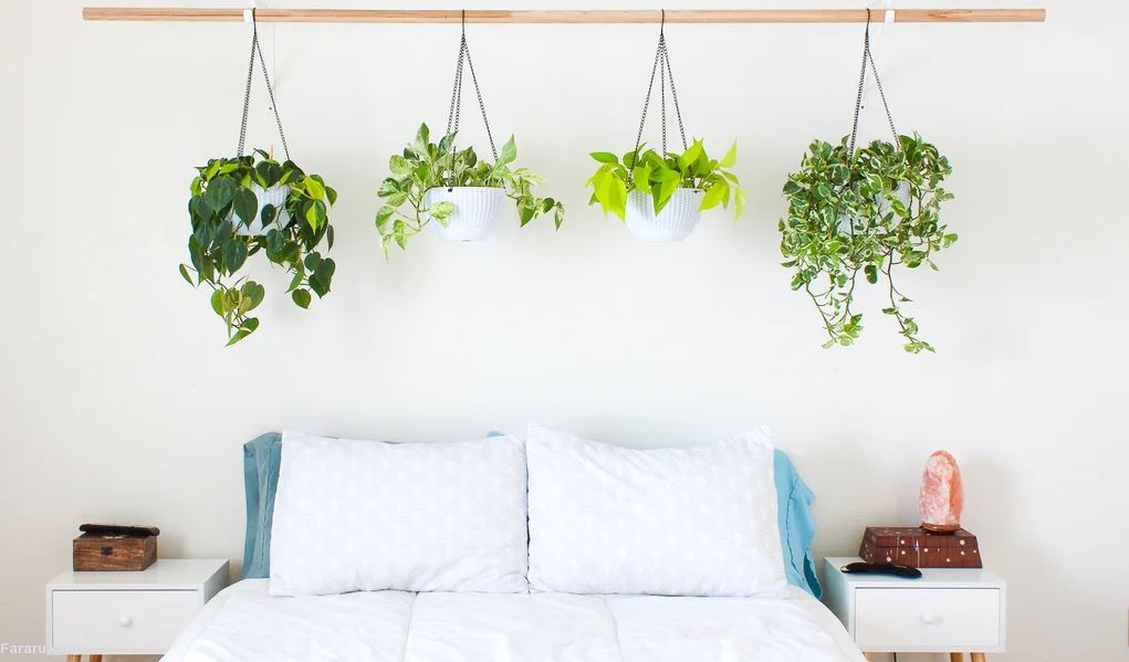 گل پتوس در اتاق خواب